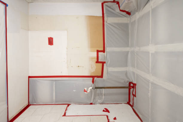 Best Airborne Mold Testing  in Pimlico, SC