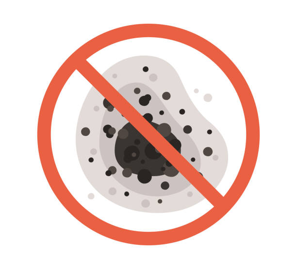 Best Air Quality Testing for Mold Spores  in Pimlico, SC