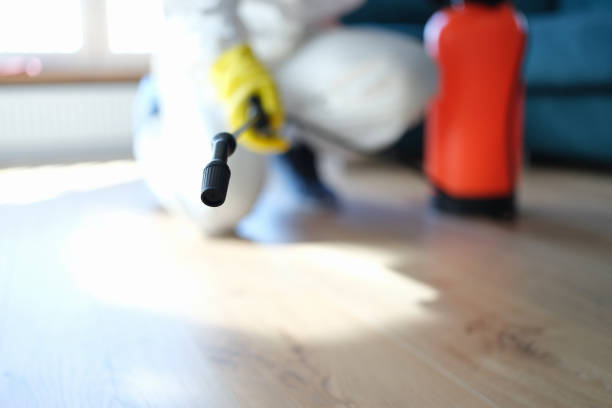 Best Real Estate Mold Inspection  in Pimlico, SC