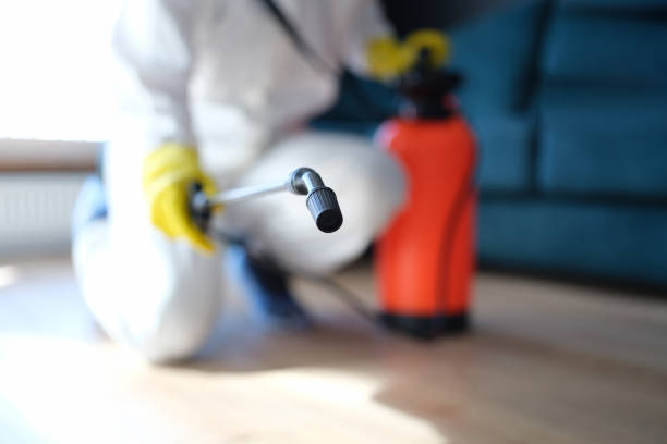  Pimlico, SC Mold Removal Pros