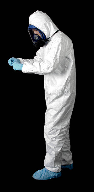 Best Crawl Space Mold Remediation  in Pimlico, SC
