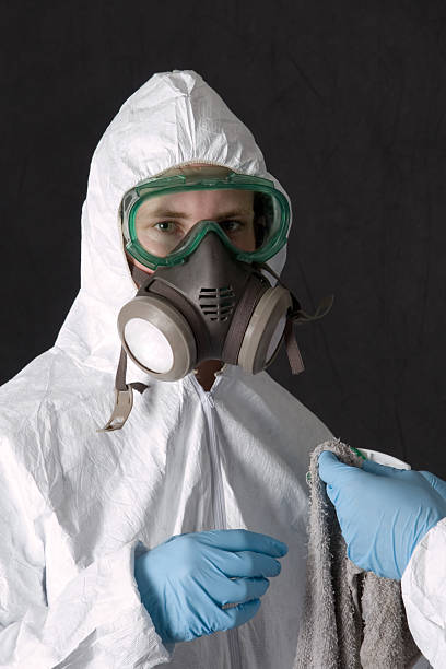 Best Mold Removal for HVAC Installations  in Pimlico, SC